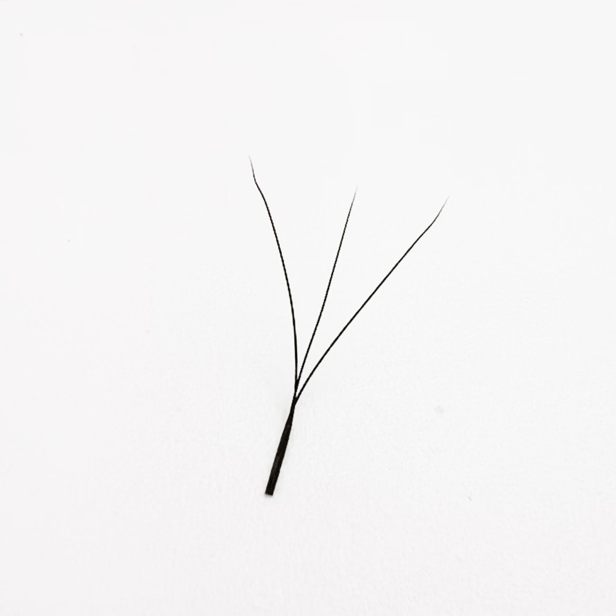 3d W Eyelashes Lash Extension  - огляд і ціна Red Clover Flower